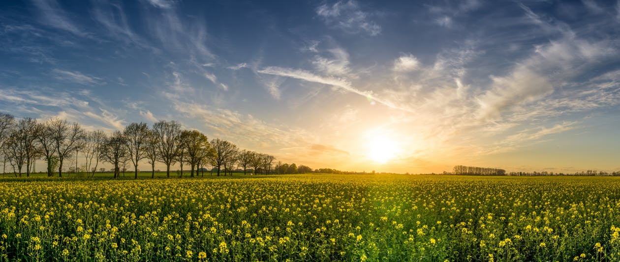 Os portugueses têm falta de vitamina D