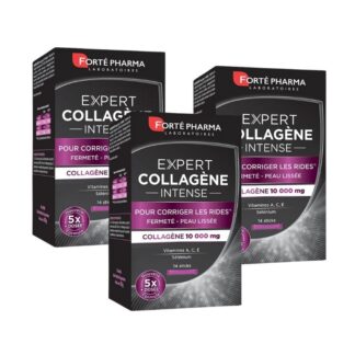 Forté Pharma Expert Colagénio Intense 3x14 Stick
