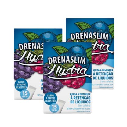 Drenaslim Hydra Frutos Silvestres - 3x15 Sticks
